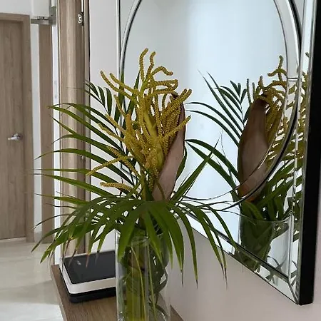Apartamento Moderno Y Comodo Apartamento